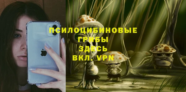 apvp Алексеевка