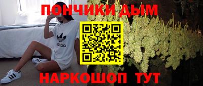 дмт Шелехов
