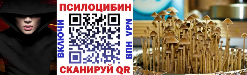 Псилоцибиновые грибы Cubensis  MEGA рабочий сайт  Мегион  где купить  