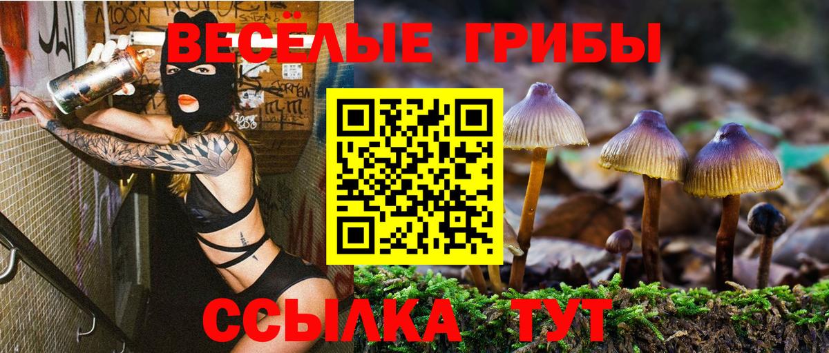 Мегион  Псилоцибиновые грибы Psilocybine cubensis  Вход с VPN 
